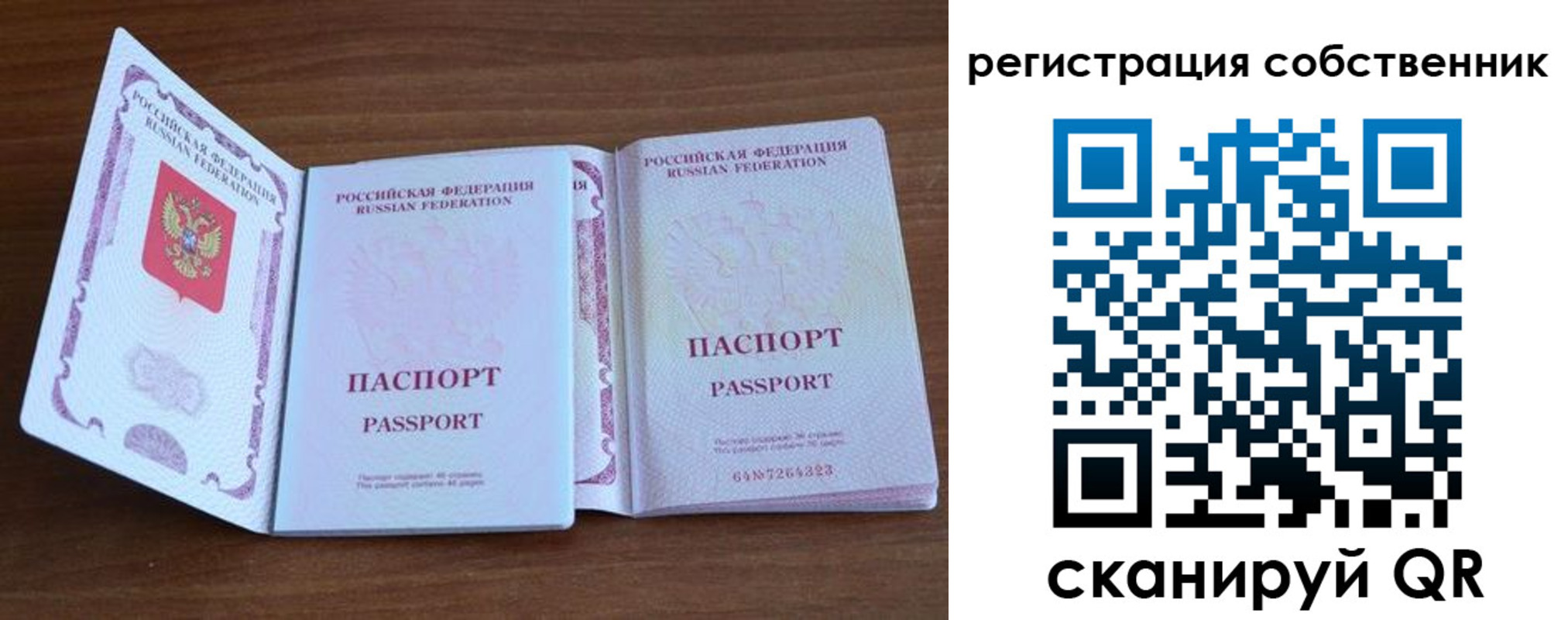 где прописаться в Фролово